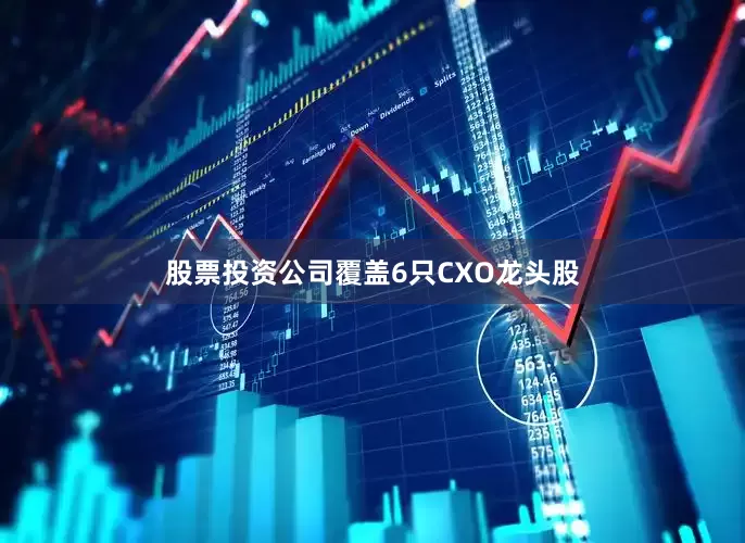 股票投资公司覆盖6只CXO龙头股